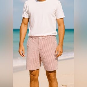 Vineyards Vine Mens Breaker Pink Striped Cotton Shorts Size 33